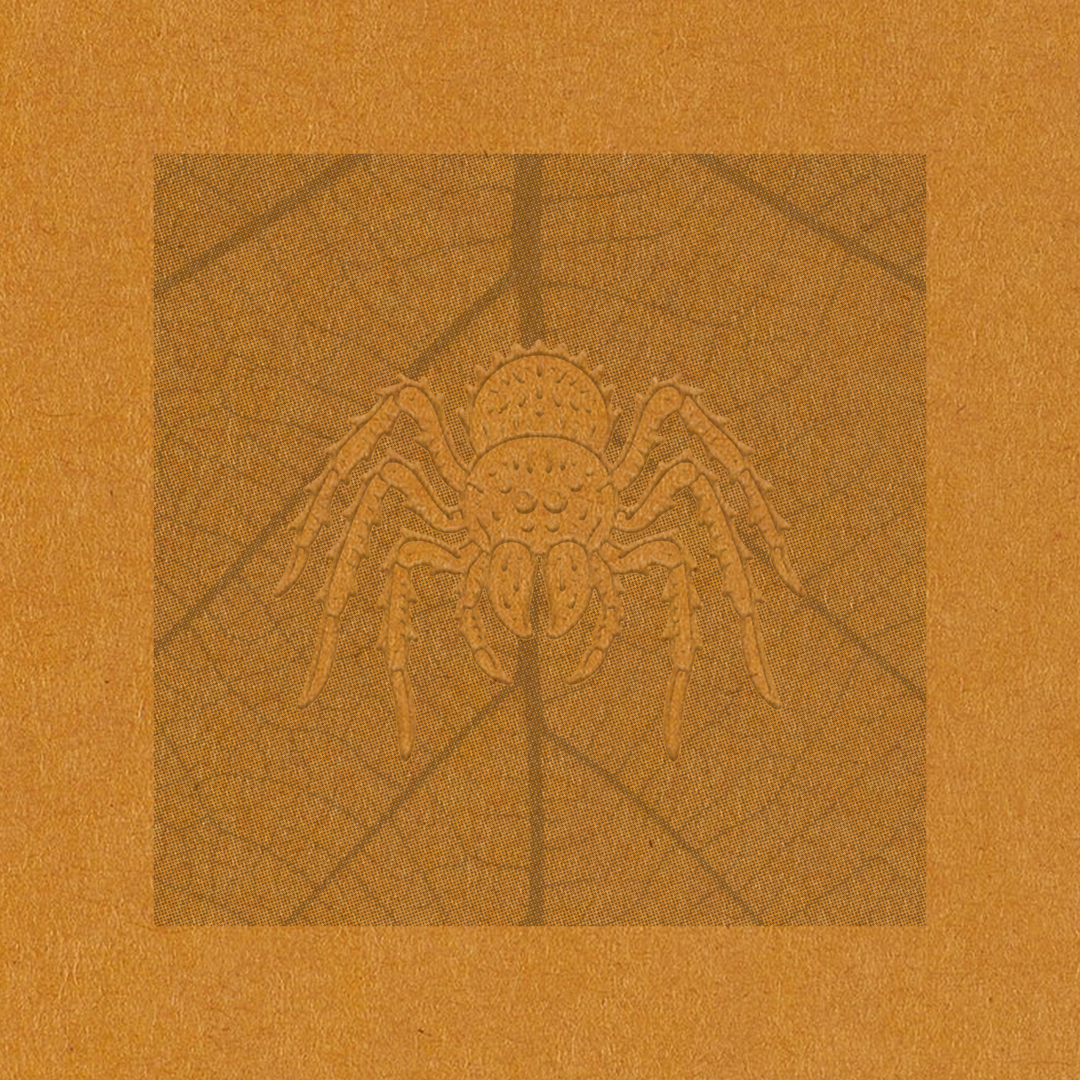 Orange Spider / Leaf - Art Print