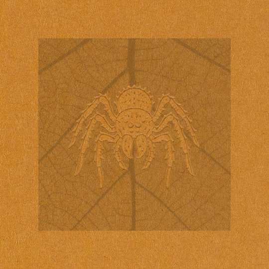 Orange Spider / Leaf - Art Print