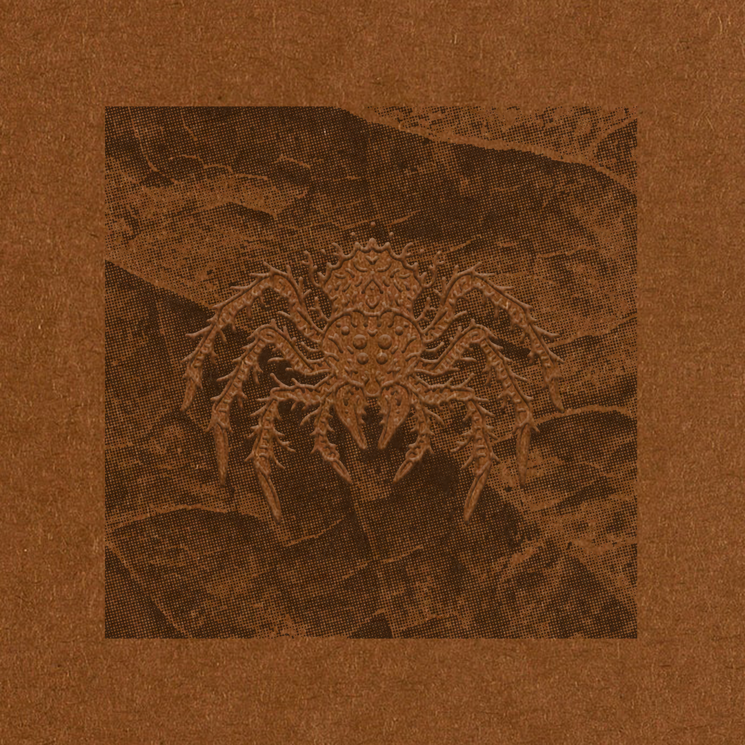 Brownish Spider / Leaf - Art Print