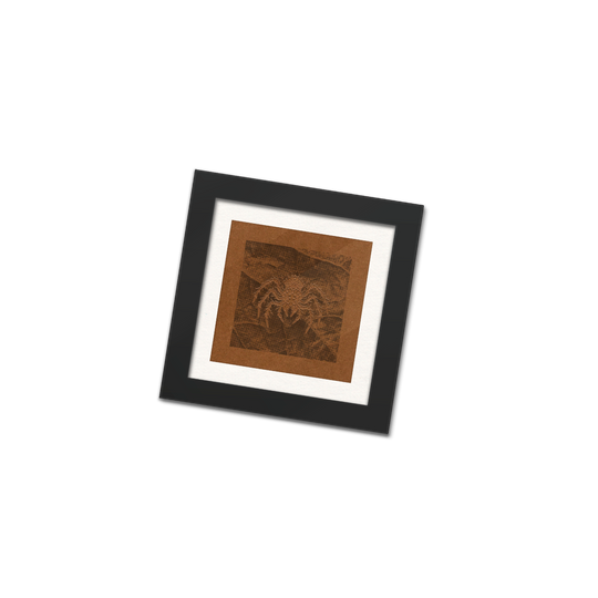 Brownish Spider / Leaf - Art Print