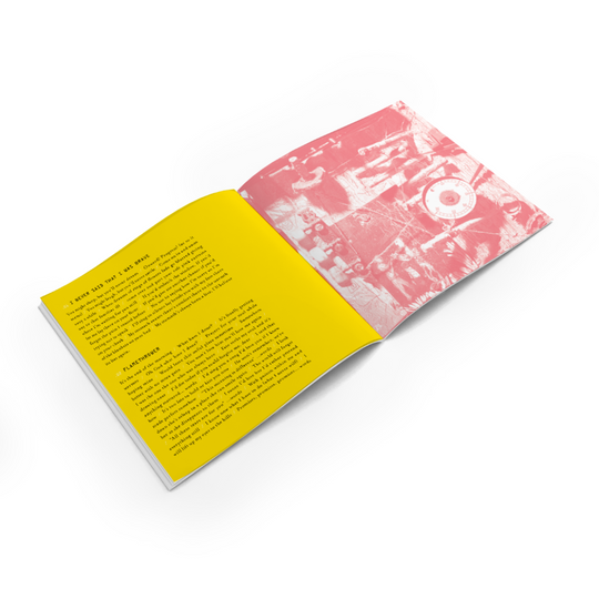 I Never Said That I Was Brave - Collector's Edition